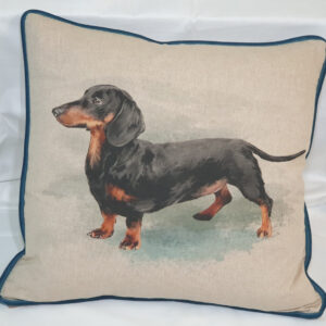 Dachshund Picture Panel Scatter Cushion